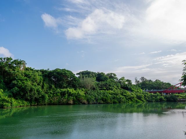 �T�b�v�I�L�i�� �C�[�Y