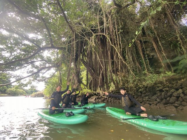 �T�b�v�I�L�i�� �C�[�Y