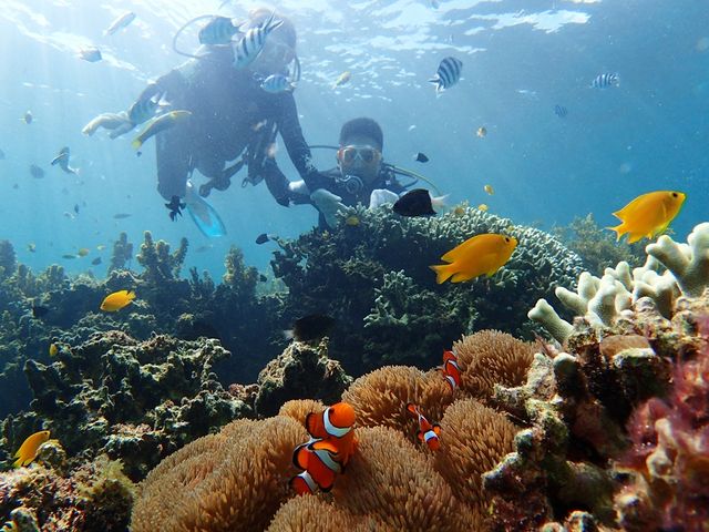 �n�s�l�X�}������y��_�n�s�l�X�}������y��