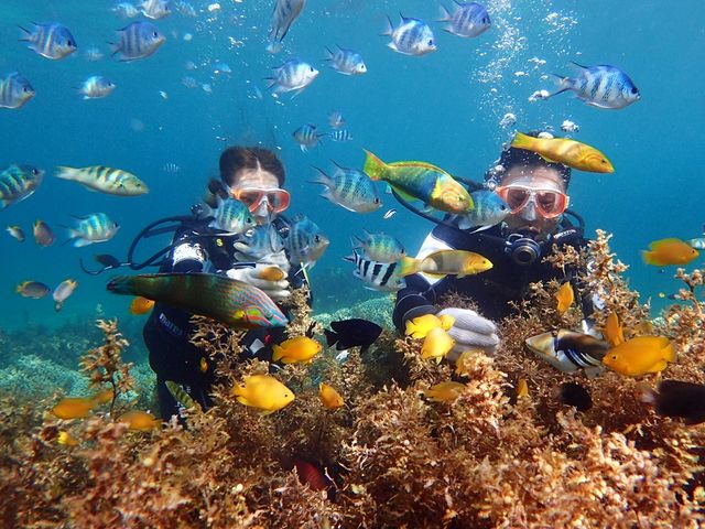 �n�s�l�X�}������y��_�n�s�l�X�}������y��