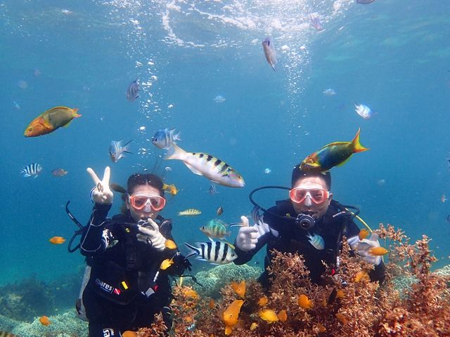 �n�s�l�X�}������y��_�n�s�l�X�}������y��