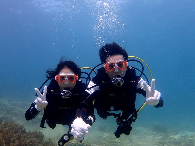 �n�s�l�X�}������y��_�n�s�l�X�}������y��