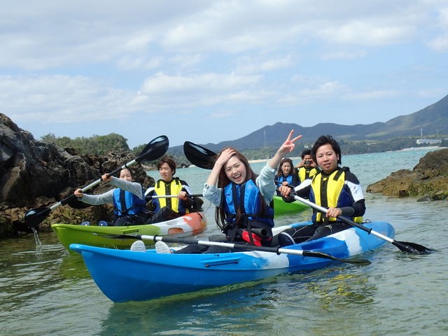 �n�s�l�X�}������y��