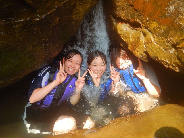 ���\���J�k�[�c�A�[����