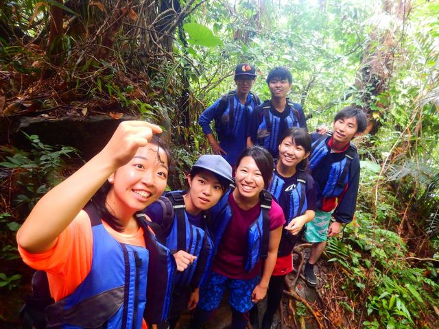 ���\���J�k�[�c�A�[����