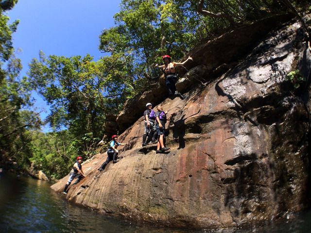 ���\���J�k�[�c�A�[����