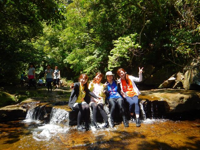 ���\���J�k�[�c�A�[����