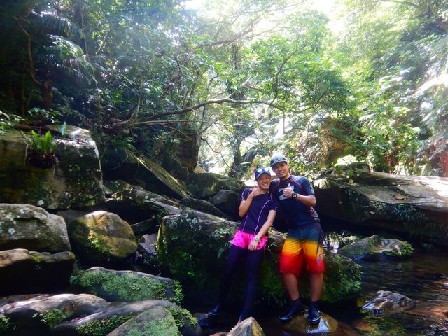 ���\���J�k�[�c�A�[����