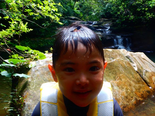 ���\���J�k�[�c�A�[����