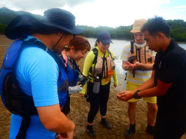 ���\���J�k�[�c�A�[����