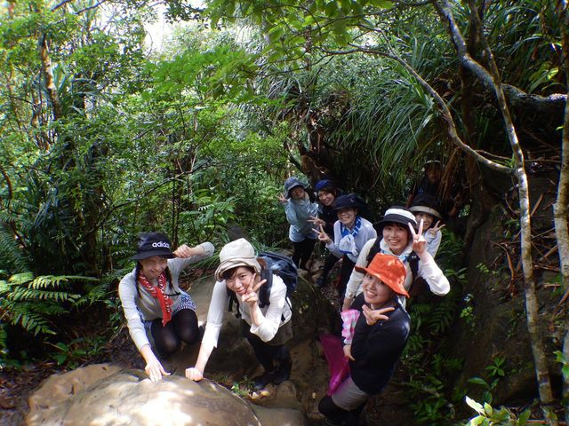 ���\���J�k�[�c�A�[����