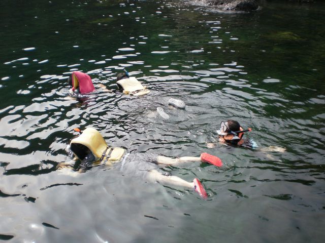 �X�}�C���E�H�[�^�[