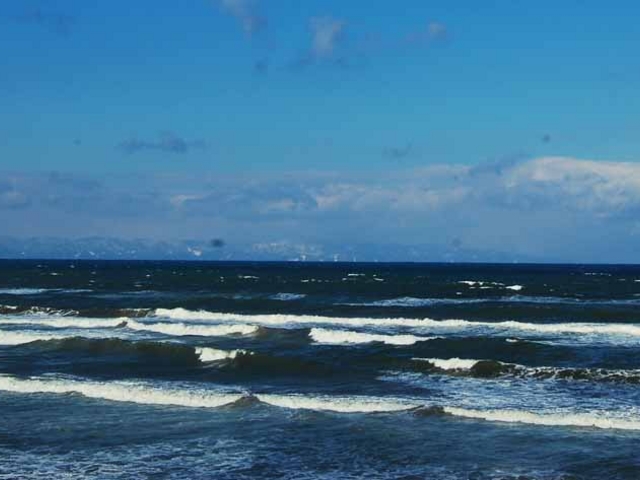 R402�����f����Ƃ����p�c�l�C������B���ꂽ���ɂ́A���n���]�߂܂�_���ؓ��|�X�^�W�I