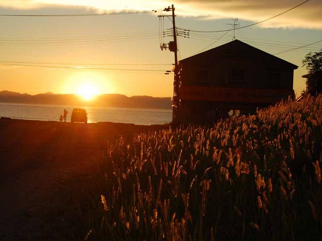 ���n�ɒ��ޗ[�z�B_���ؓ��|�X�^�W�I