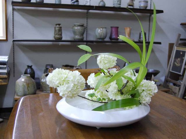 �������̃X�^�b�t���A��̉Ԃ𐶂��Ă��܂�_���ؓ��|�X�^�W�I