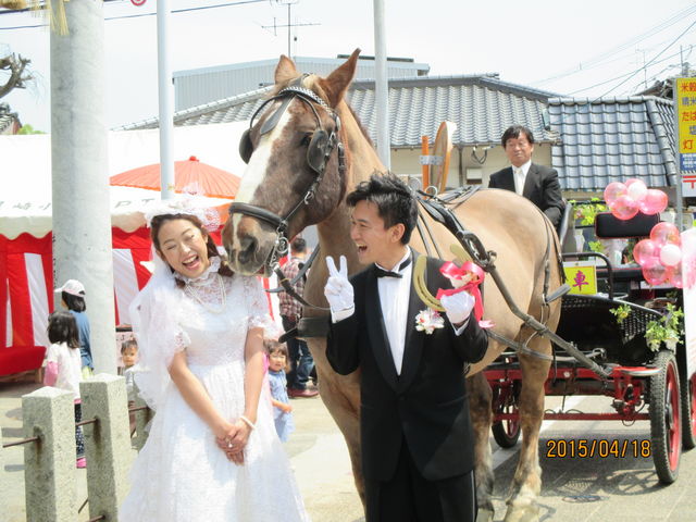 �E���܂��P�E�ԉŔn�ԃp���[�h_�z�[�X�v����