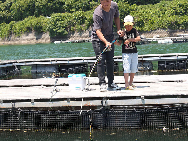 �ޖx�����L�[