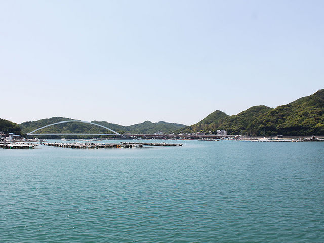 ���Y�p����]�ޖ����̉Y�勴�B_�ޖx�����L�[