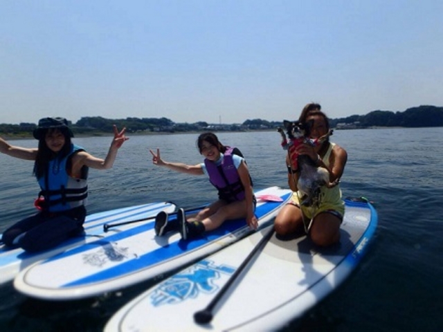 �C�ł͎��R�ƏΊ�ɂȂ����Ⴂ�܂��I_BeachBum DIVE&SUP