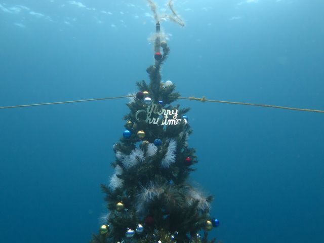 NX}Xɂ̓c[ݒu܂_DIVEHOUSE FUTO