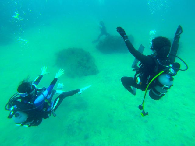 ͂REIJnn̈З͂͂Ɂc_DIVEHOUSE FUTO