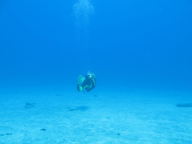 ̂悤Ȑ^ȍnLx˂̊CB_DIVEHOUSE FUTO