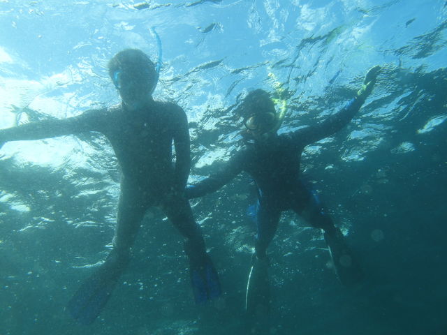 ʂӂӂBC`_DIVEHOUSE FUTO