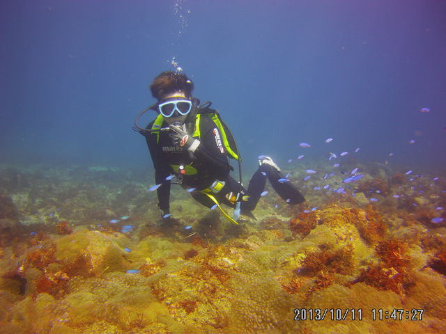 郖̐[u[ƐɈ͂܂āB_DIVEHOUSE FUTO