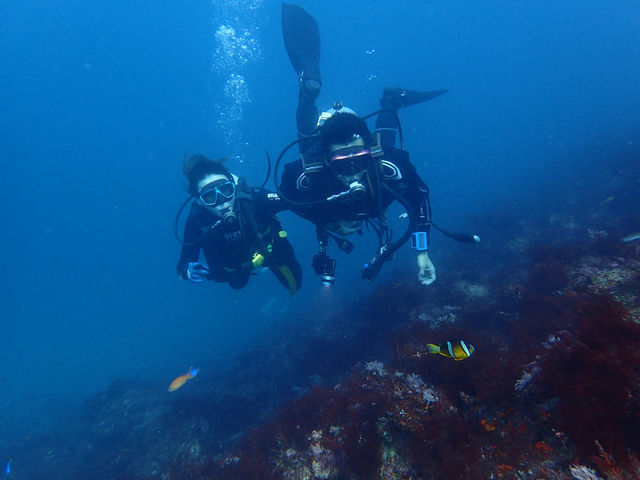 N}m~ƃfu[_DIVEHOUSE FUTO