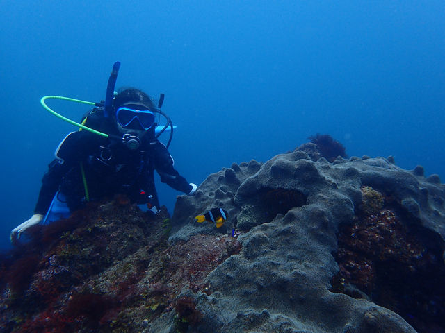 N}m~ƂQVbgI_DIVEHOUSE FUTO