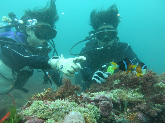 Ȃɋ߂ŃN}m~Ɖ`_DIVEHOUSE FUTO