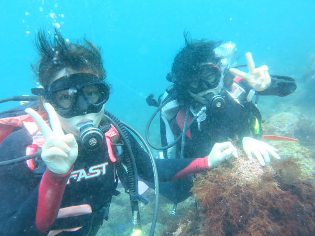 ߂ă_CrO܂`I_DIVEHOUSE FUTO