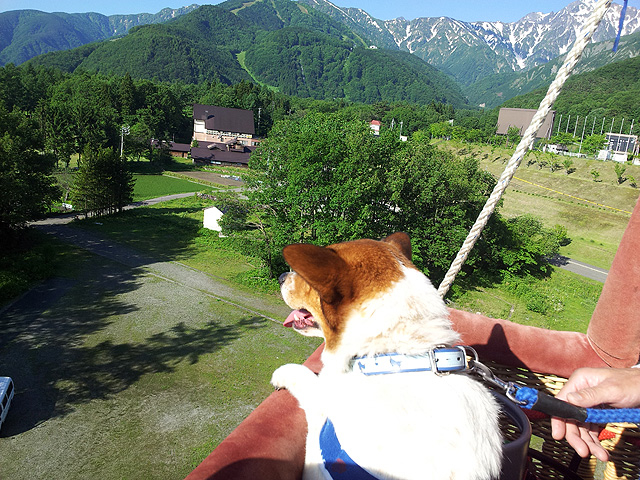 ��񂱂��C���̌��I_���n���C�I���A�h�x���`���[