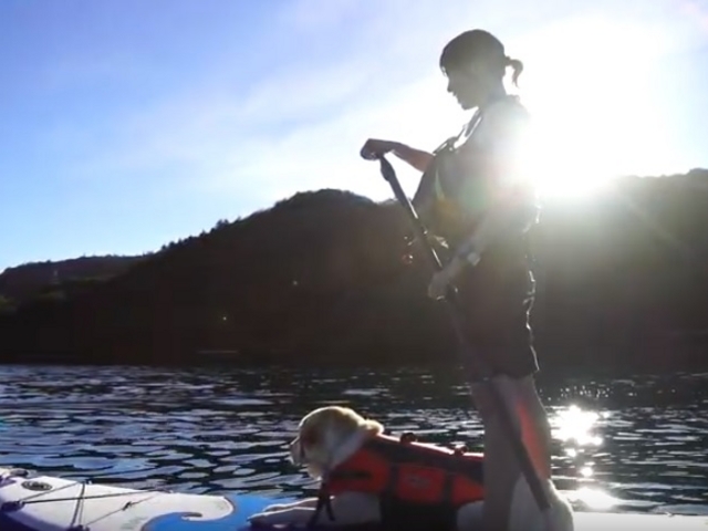 sup�����^��_���n���C�I���A�h�x���`���[