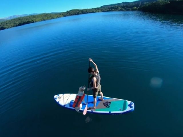 �،΂ł�񂱂�sup�����^��_���n���C�I���A�h�x���`���[