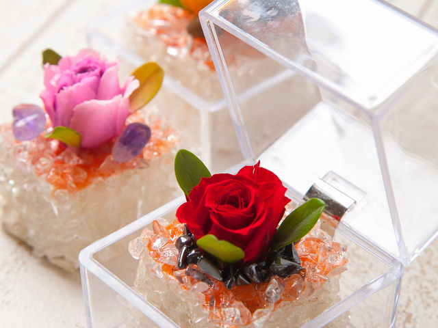 �⋴�N�q�t�����[�f�U�C���X�N�[��