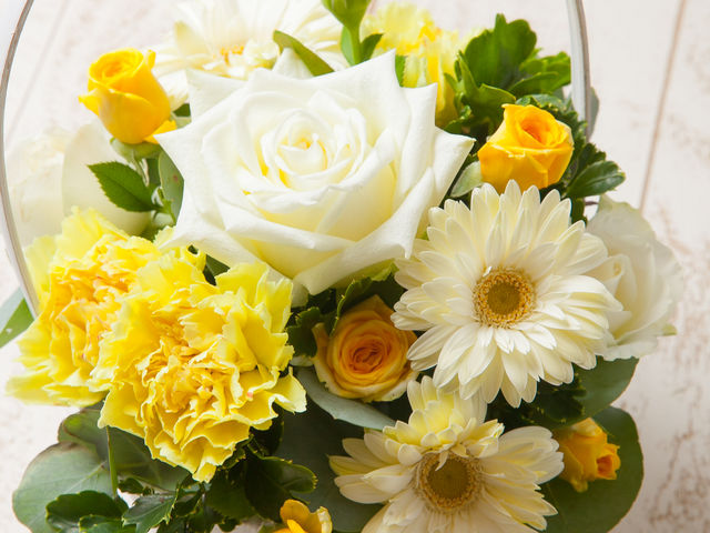 �⋴�N�q�t�����[�f�U�C���X�N�[��