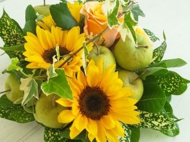 �⋴�N�q�t�����[�f�U�C���X�N�[��