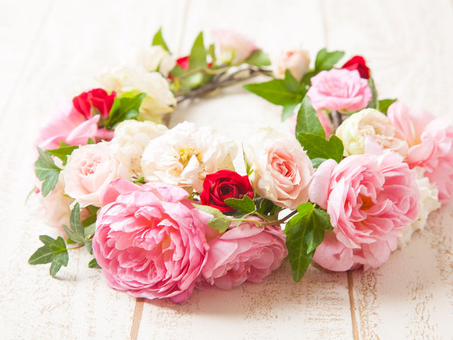 �⋴�N�q�t�����[�f�U�C���X�N�[��