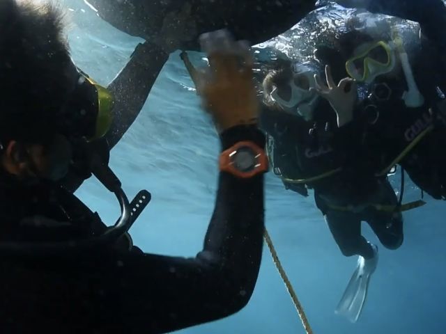 ���������ցI_���䓇�_�C�r���O�V���b�v�A���x�X�N