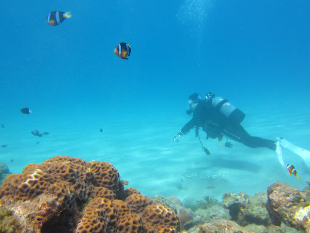 �̌��_�C�r���O�ł�����������Y��Ȍi�F�Ƃ�������̋�������܂���_aquastyle