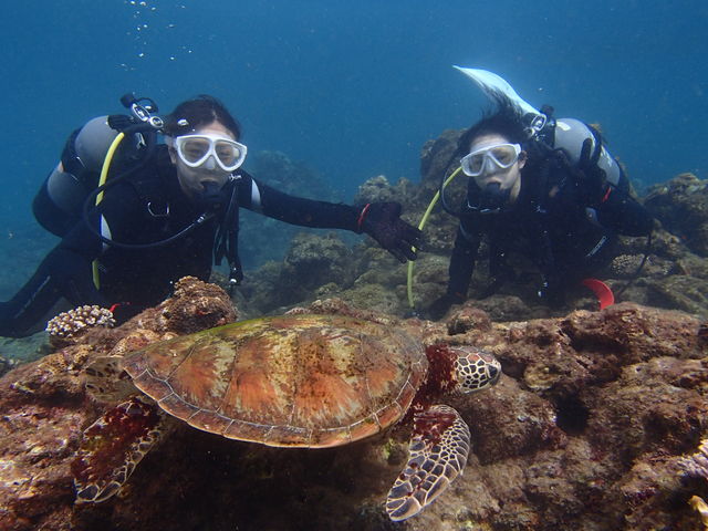 �^���ǂ���΃E�~�K���Ƒ�ڋ߂ŋL�O�ʐ^����_aquastyle