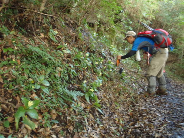 �^�J�N�}�z�g�g�M�X_�A�E�g�h�A�V���b�v�L������