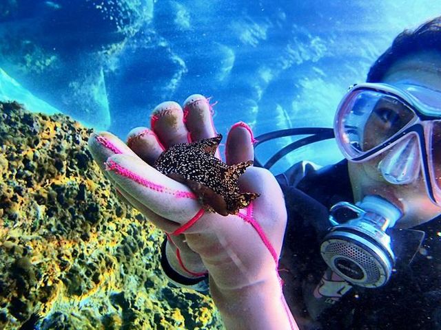 ��N���������ē��\�ł��B_�Ó�DIVE.com