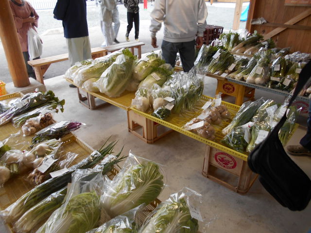 ���s
�n���̖��1��100�~�̈����I�э`�̐V�N�ȋ�����ɓ���܂��B���T�ؗj��������B_NPO��I�����{��̂ӂ邳�Ƒ�