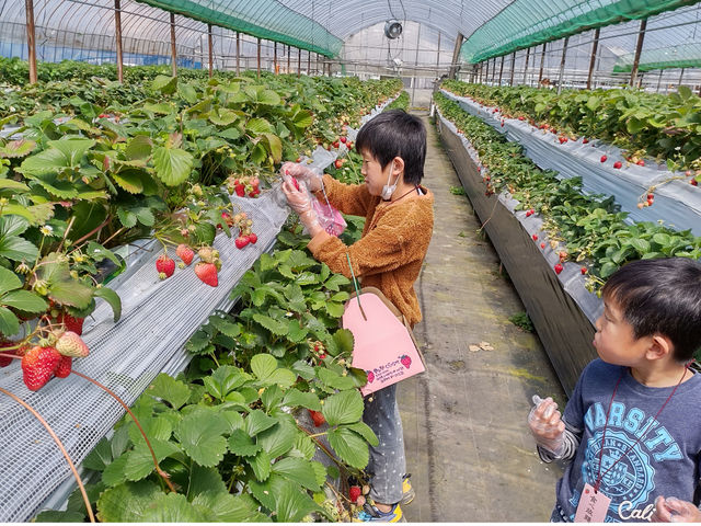 �_�Y���������L�삭�����̑�