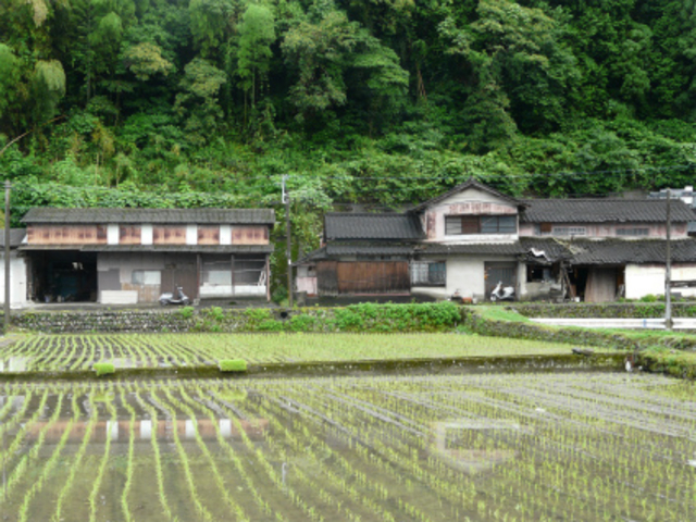 ���{�̌����i ���c�ɐ��������܂�_���|�H�[�u���̉��@�y�̉��v