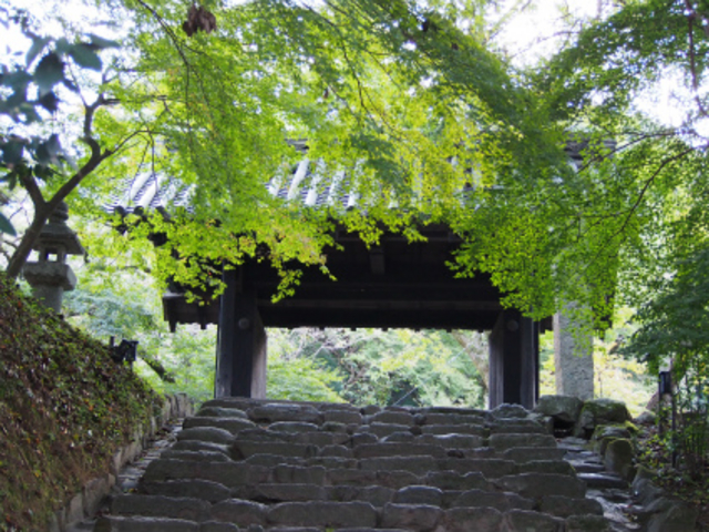 �H���̖�������̐V��_���|�H�[�u���̉��@�y�̉��v