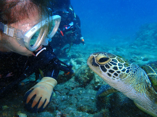 �E�~�K���Ƃ̑Θb_���v�����R�ē�