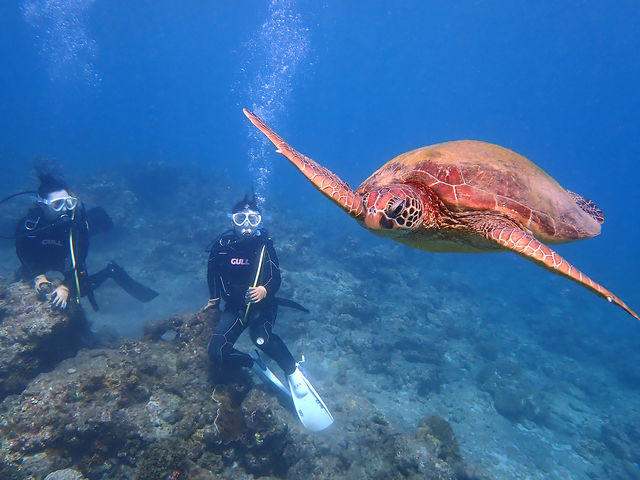 �����璆�Ō�����E�~�K��_���v�����R�ē�